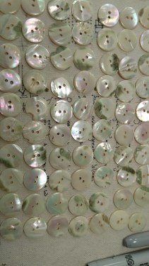 img_20160405_125848958_26229909466_o