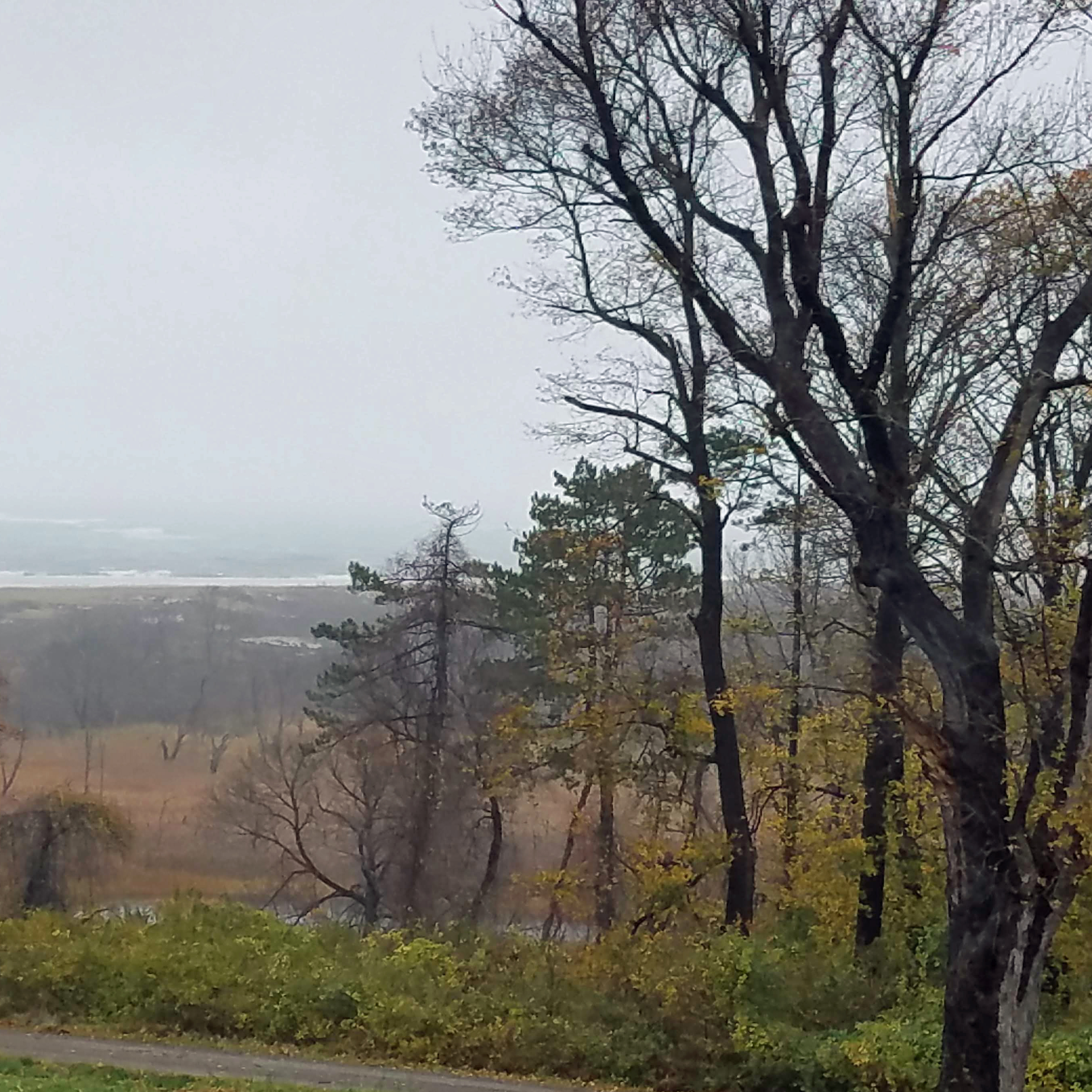 Gray Fall Weather Fall weather – Lee Thomson